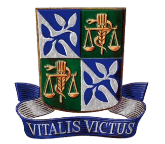 A imagem da coleção