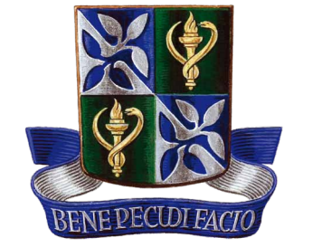 A imagem da coleção