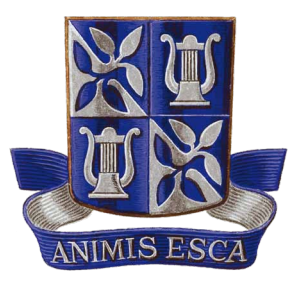 A imagem da coleção