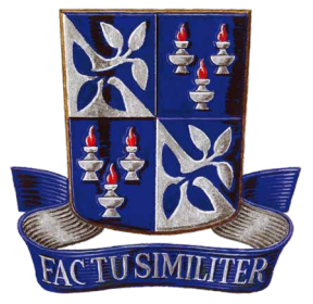 A imagem da coleção